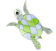 Loggerhead Sea Turtle ##STADE## - look 16026